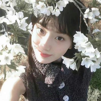 我的老婆是只猫
